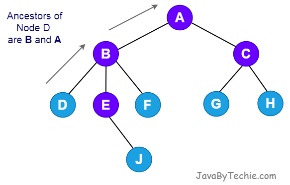  Node in Tree