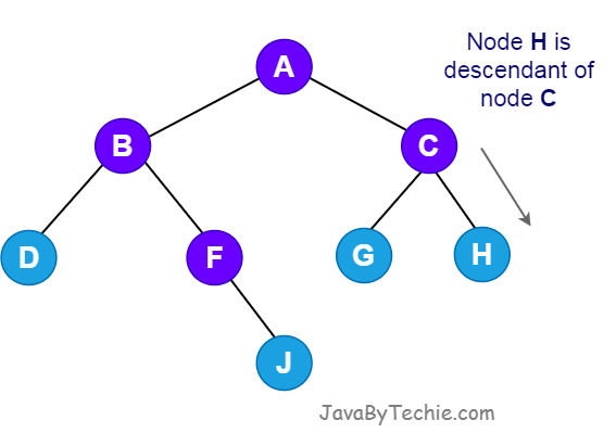  Node in Tree