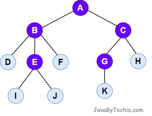 Tree Internal Nodes